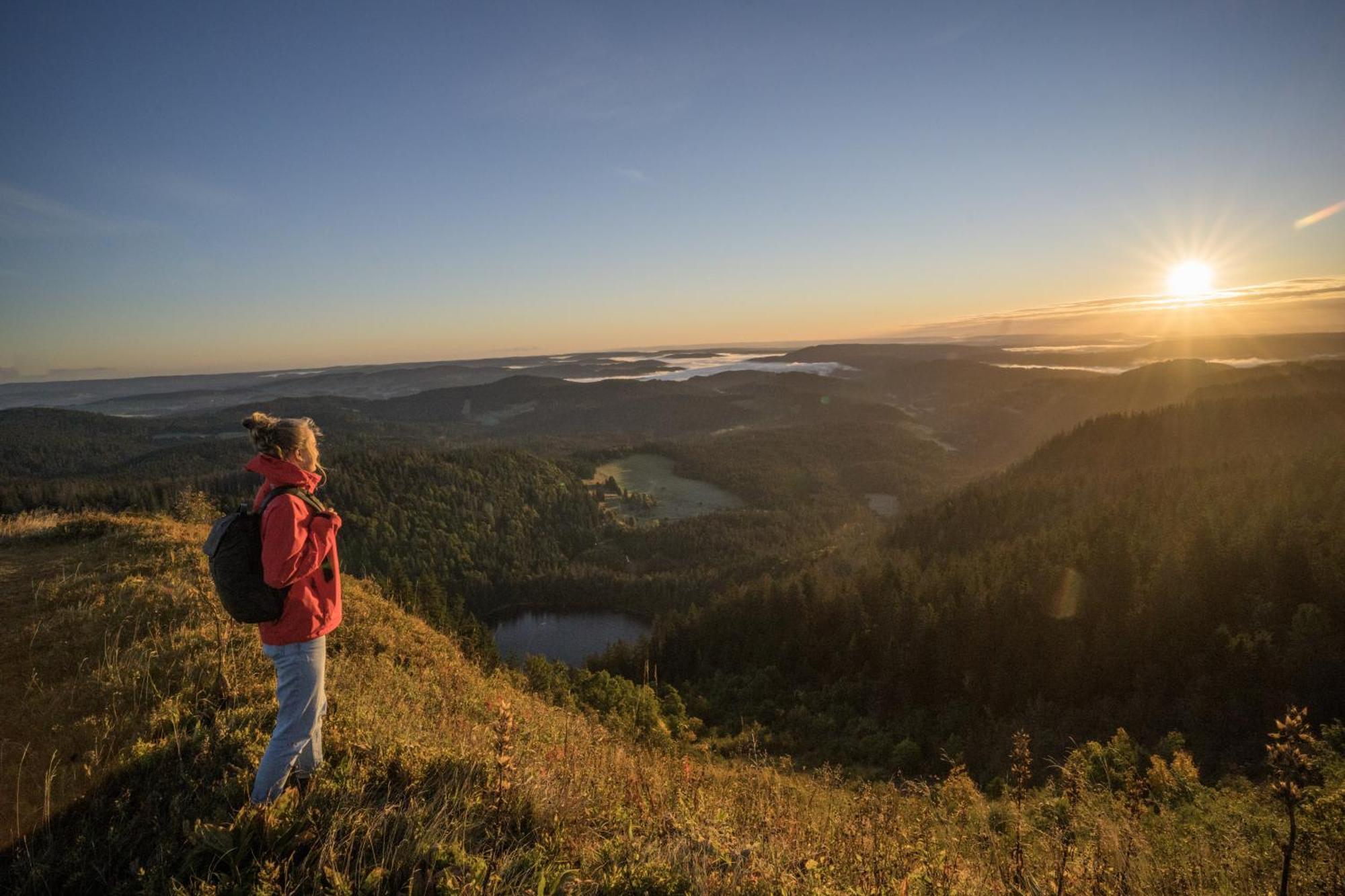 Schreinerhaeusle Naehe Titisee Himmelreich Exteriör bild