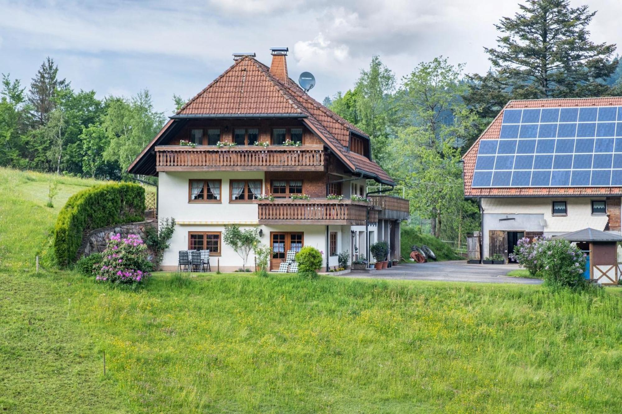 Schreinerhaeusle Naehe Titisee Himmelreich Exteriör bild