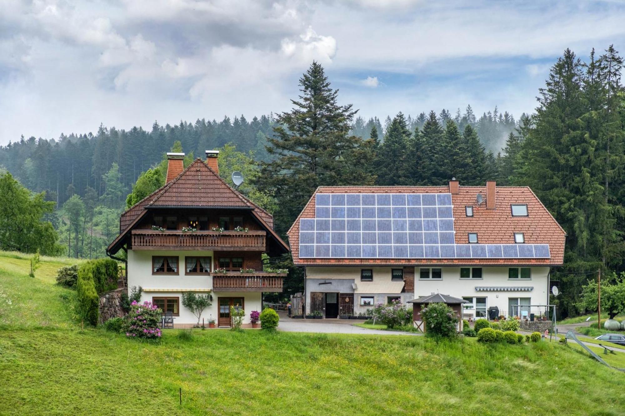 Schreinerhaeusle Naehe Titisee Himmelreich Exteriör bild