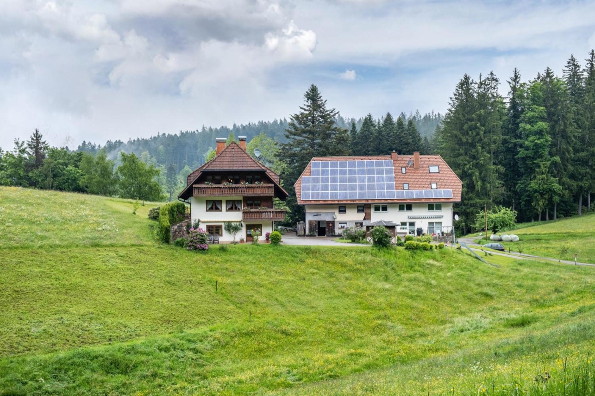 Schreinerhaeusle Naehe Titisee Himmelreich Exteriör bild