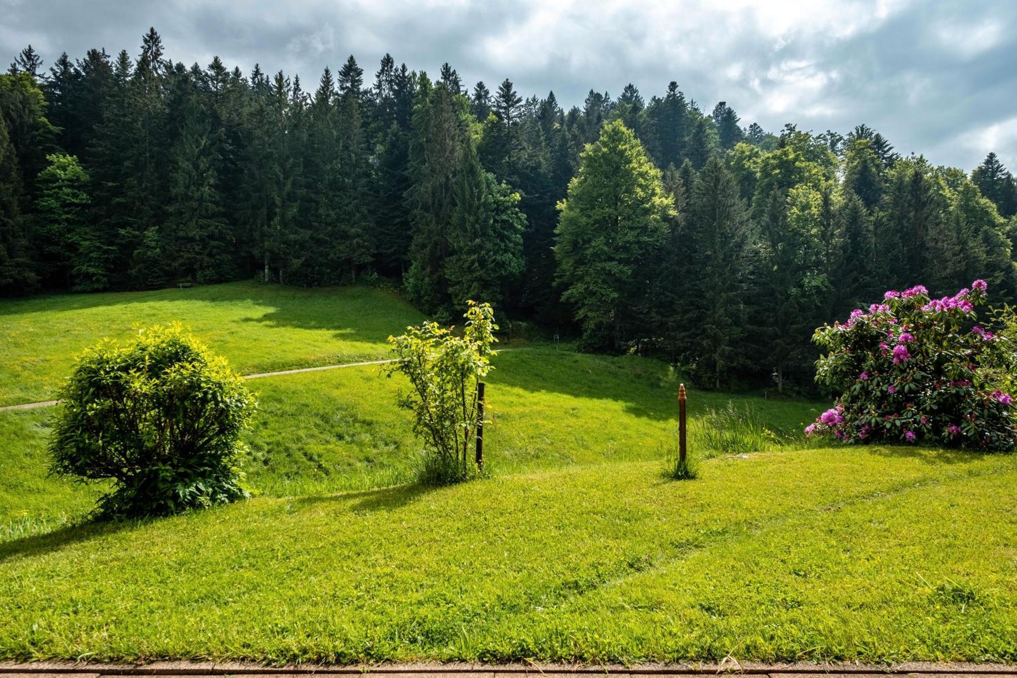 Schreinerhaeusle Naehe Titisee Himmelreich Exteriör bild