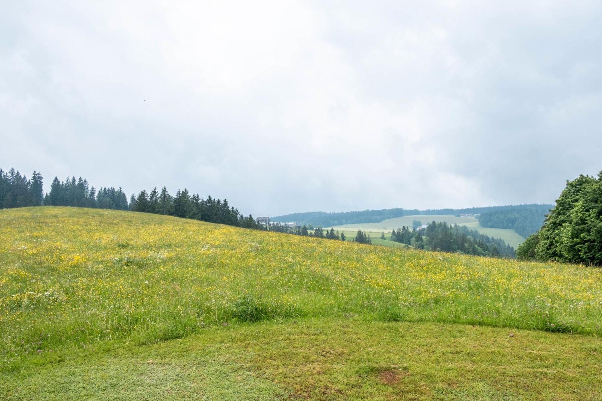 Schreinerhaeusle Naehe Titisee Himmelreich Exteriör bild