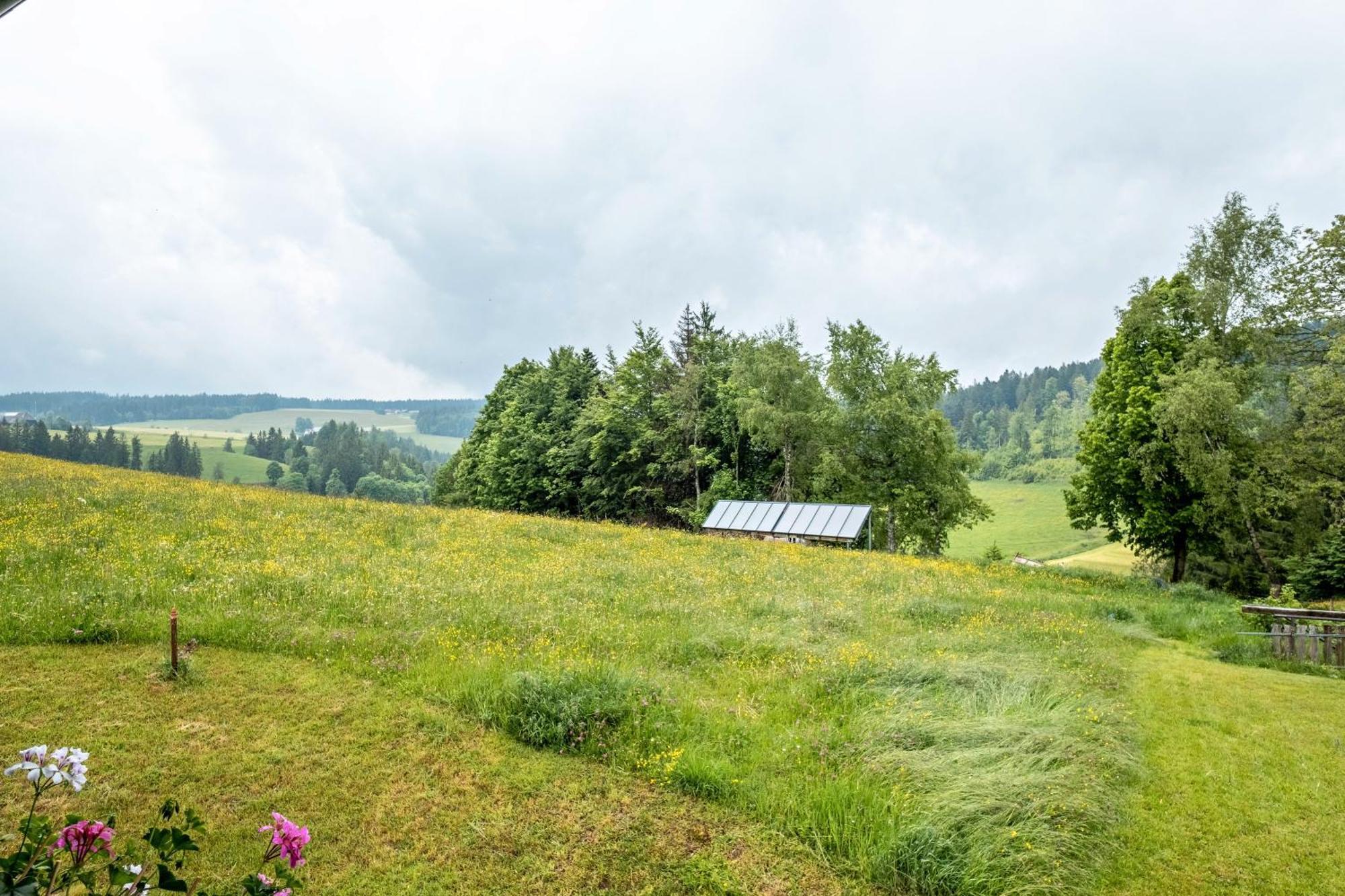 Schreinerhaeusle Naehe Titisee Himmelreich Exteriör bild